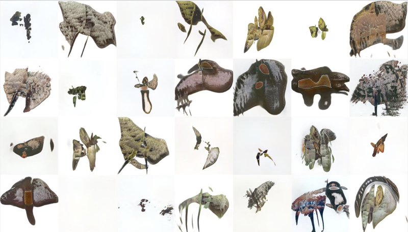Infinity Species Generator