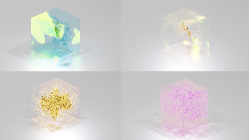 Vacuum Visualization – Dance of the Void