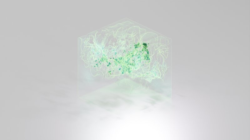 Vacuum Visualization – Dance of the Void