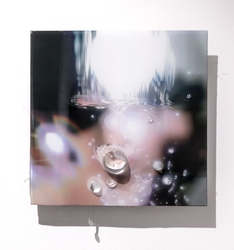 Mollusca Light II, 2024