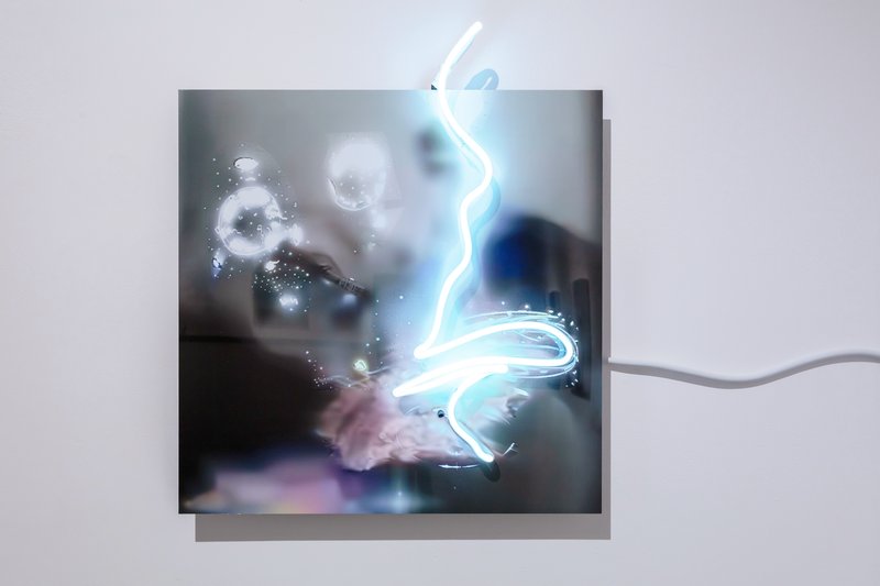 Absorption of Light Symbols II, 2024