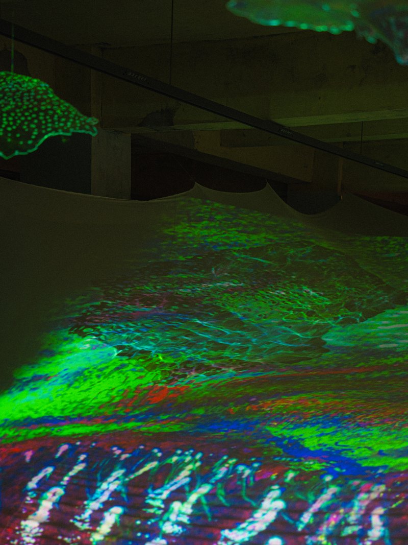 Aurora Leaping on Nerve Endings